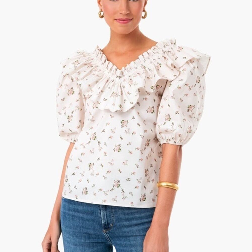 Tuckernuck Hyacinth House Floral Ruffle Puff Sleeve Blouse Size Small